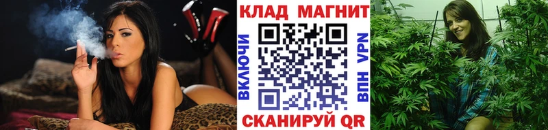 Галлюциногенные грибы Каменногорск