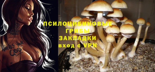 прущая мука Алзамай
