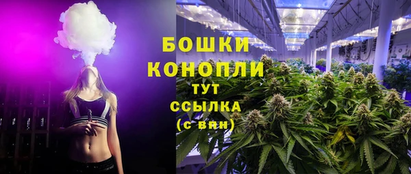 ГАЛЛЮЦИНОГЕННЫЕ ГРИБЫ Алексеевка