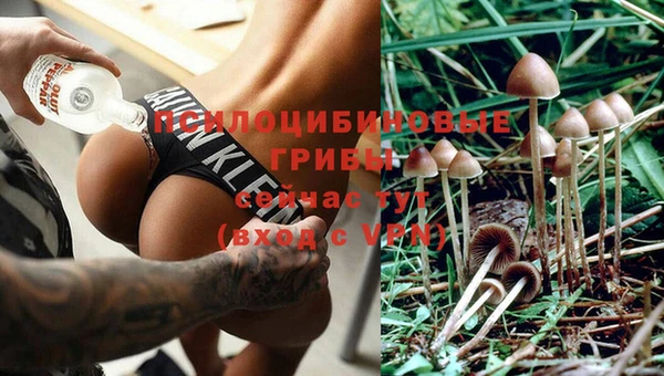 a pvp Абдулино